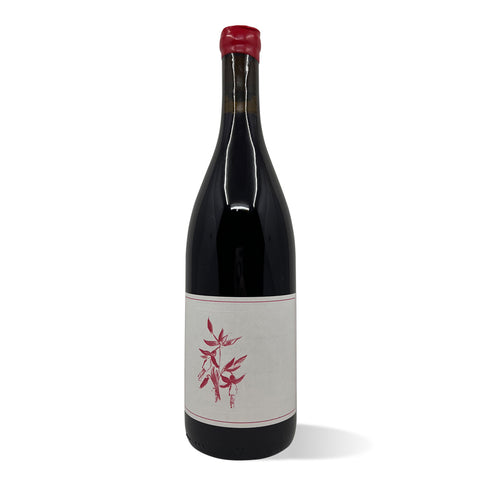 Arnot Roberts Peter Martin Ray Pinot Noir 2020