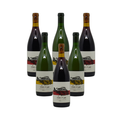 Scar of the Sea x Dedalus Central Coast 6 Pack